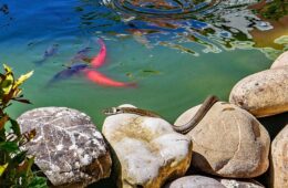 05-24 - leben im biotop